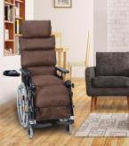 FAUTEUIL ROULANTWEELY'NOV